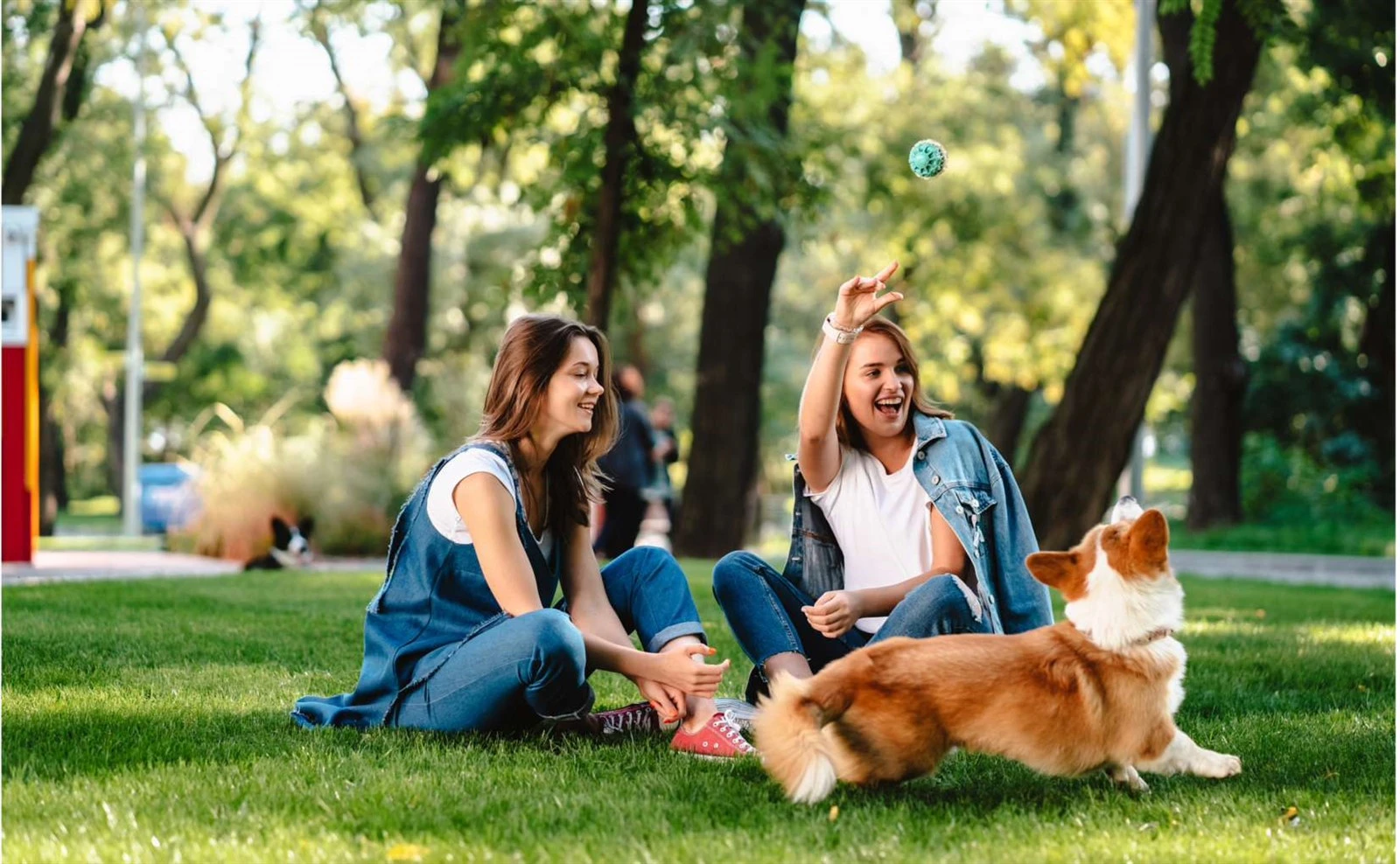 Pourquoi les sachets à fond plat-changent la donne pour les marques d'aliments et de snacks pour ...