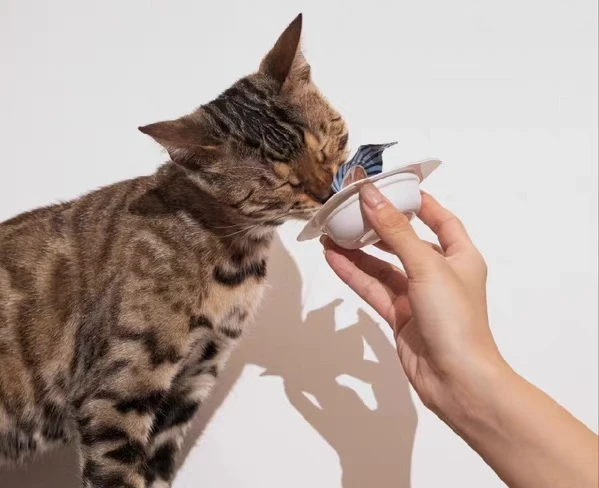 Qu’est-ce que le couvercle de plateau de nourriture pour animaux de compagnie ? Un guide complet ...